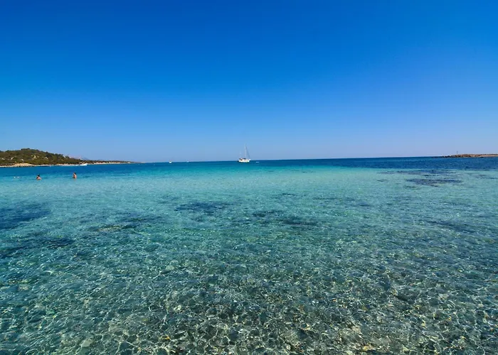 Appartement Spacious Flat 300mt From The *